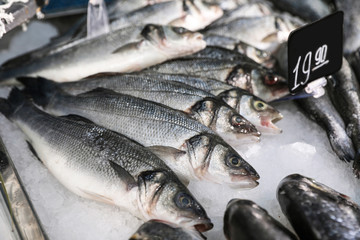 Different types of fresh fish on ice in supermarket, closeup