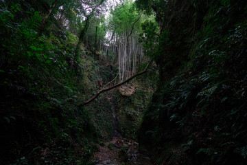Iokido in Kochi, Japan.