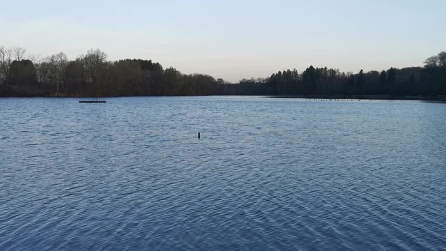 westerw&auml;lder seenplatte in freilingen postweiher