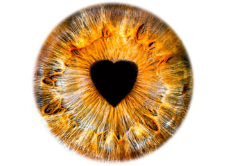 Iris ,das menschliche Auge mit Herz Pupille - 310643891