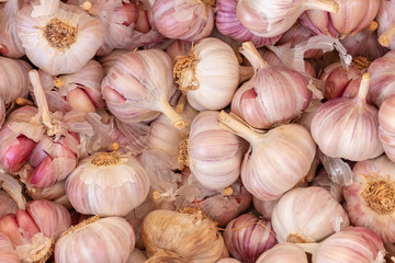 Heads of garlic in the market. Natural seasoning Food for vegetarians and vegans.