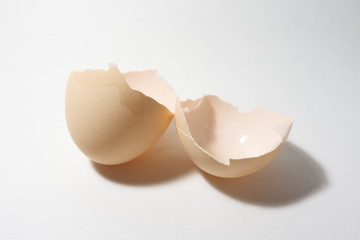 割れた卵の殻