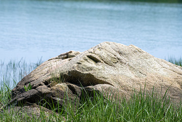 Rock That Looks Like a Face