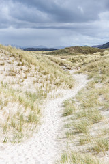 Pathway into the Sand dunes Maghera Beach County Donegal Ireland