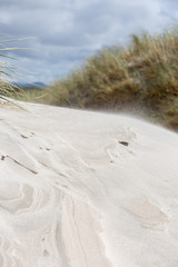 Wind remodelling dunes on Maghera Beach County Donegal Ireland