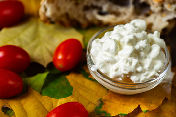 Cottage cheese, tomato and bread on leaf.