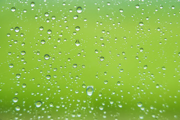雨粒　緑背景