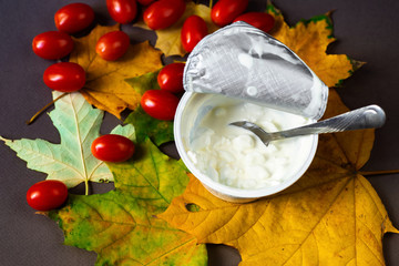 Cottage cheese and cherry tomatoes on autumn leaves.