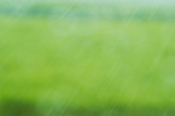 雨イメージ　緑背景
