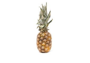 pineapple on a white background.