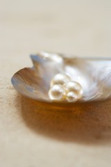 Fototapeta na wymiar Four pearls in open oyster shell on beach close up
