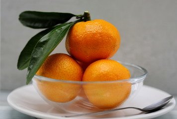tangerines on white background