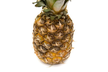 pineapple on a white background.