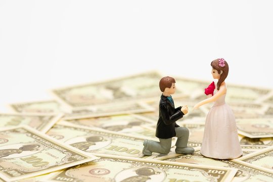 結婚の費用 （フィギュア・人形）