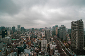 Fototapeta na wymiar 曇り空の東京