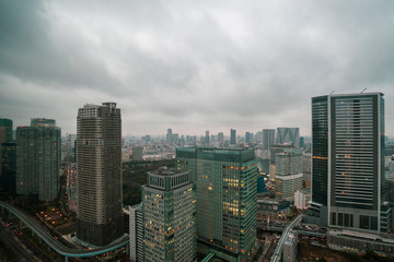 Obraz premium 曇り空の東京