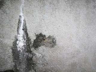 Concrete  wall  background  with  copy  space.