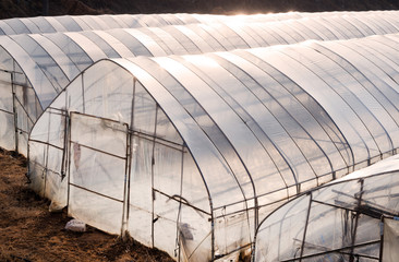Greenhouse from polythene plastic on an agricultural field.