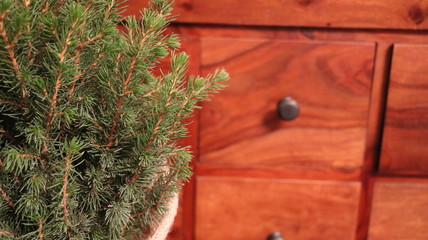 Christmas tree, green fir. Closeup on spruce needles. Wooden environment. Little branch in interior decoration. Coniferous pine, twig design. Indoor little tree. Background new year holidays, winter. 