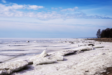 natural landscape on the shore of the North Baltic sea