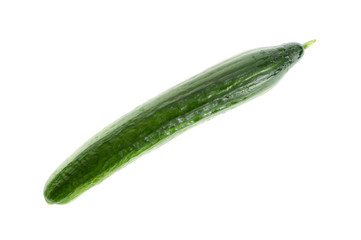 Organic Fresh Cucumber