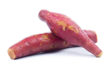 Group of Sweet potato