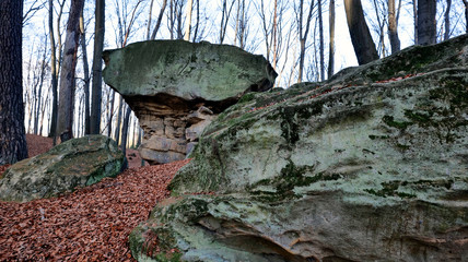 Rezerwat przyrody Kamień-Grzyb – rezerwat przyrody nieożywionej w województwie małopolskim w okolicach Nowego Wiśnicza