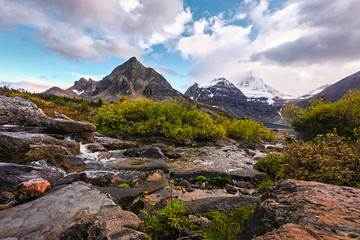 Mount Assiniboine on stream flowing in autumn field at provincial park