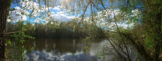 L'étang du patisse meaux france