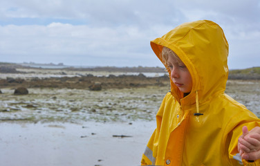 Cute little child in a yellow raincoat trustfully holding the mother's hand, beach at low tide in the unsharp background