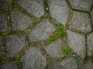 Texture of paving slabs overgrown with grass. Background image of a stratum stone