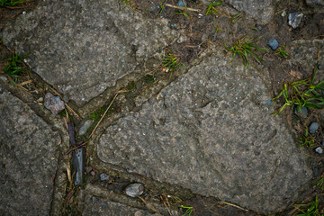 Texture of paving slabs overgrown with grass. Background image of a stratum stone