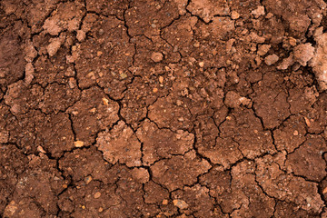 Texture of dried cracked clay. Macro background image of dried clay