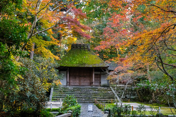 京都 秋の法然院 山門