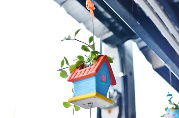 flags of countries on a background of blue sky