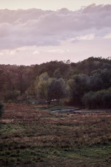Obraz premium Ilkerbruch, a nature reserve near the city of Wolfsburg / Germany
