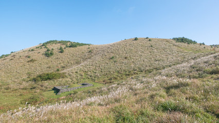 Obraz premium 제주 용눈이오름 풍경