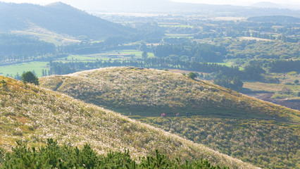 Naklejka premium 제주 용눈이오름 풍경