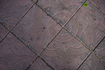 Texture of paving slabs overgrown with grass. Background image of a stratum stone