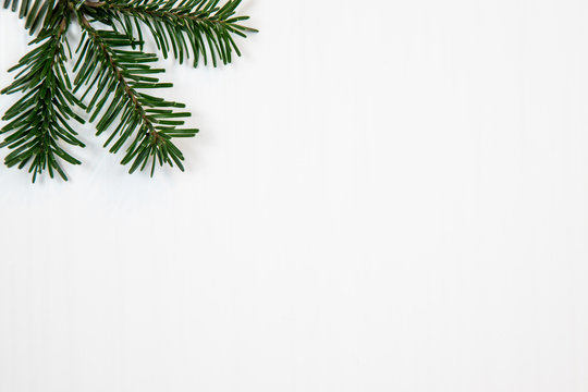 Christmas motif, texture, background with branch of a Nordmann fir on the top left on a white background with free space for text.