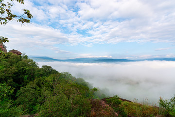 Obraz na płótnie Canvas Beautiful mountain of the view point. Scenic beauty with mist in the morning. Phu Pha Nong, Loei, Thailand