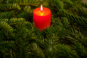 Christmas motif with red burning candle surrounded by Nordmann fir branches