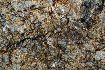 The texture of the stone overgrown with moss. Background image of a boulder