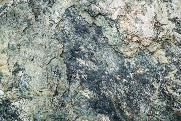 The texture of the stone overgrown with moss. Background image of a boulder