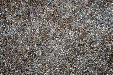 The texture of a shallow river stone. Pebble Background Image