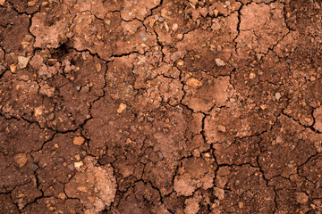 Texture of dried cracked clay. Macro background image of dried clay