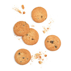 Tasty homemade cookies with raisins on white background, top view