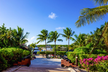 The view of beach on Half Moon Cay island at Bahamas.