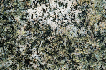 The texture of the stone overgrown with moss. Background image of a boulder