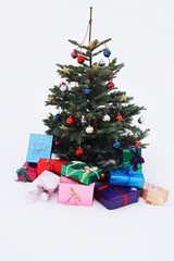 Christmas tree with presents in snow